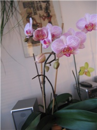 8cdad06b-Picture 045.jpg
